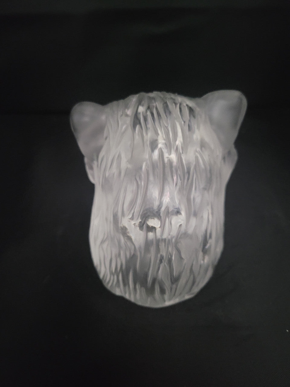 Saint-Louis France Lionhead Paperweight