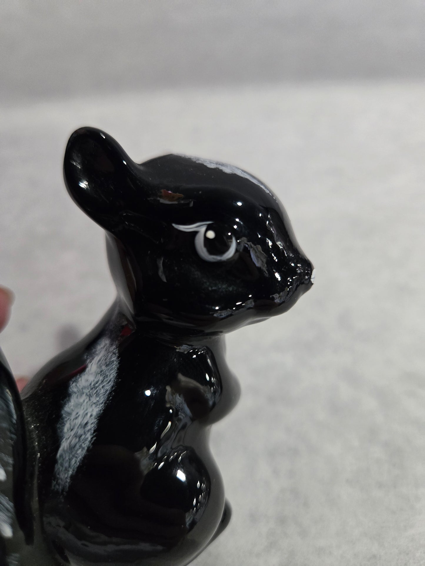 Fenton PNFWA Skunk