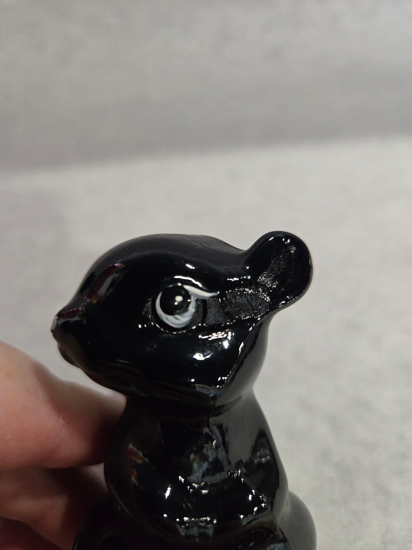 Fenton PNFWA Skunk
