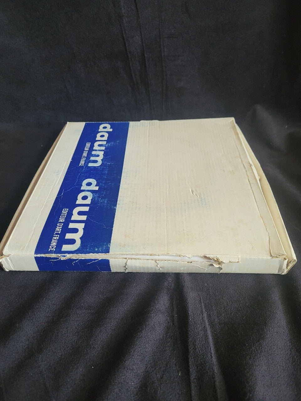 Daum pate de verre Winter Plate