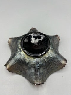 Vintage amber carnival glass saw tooth bowl