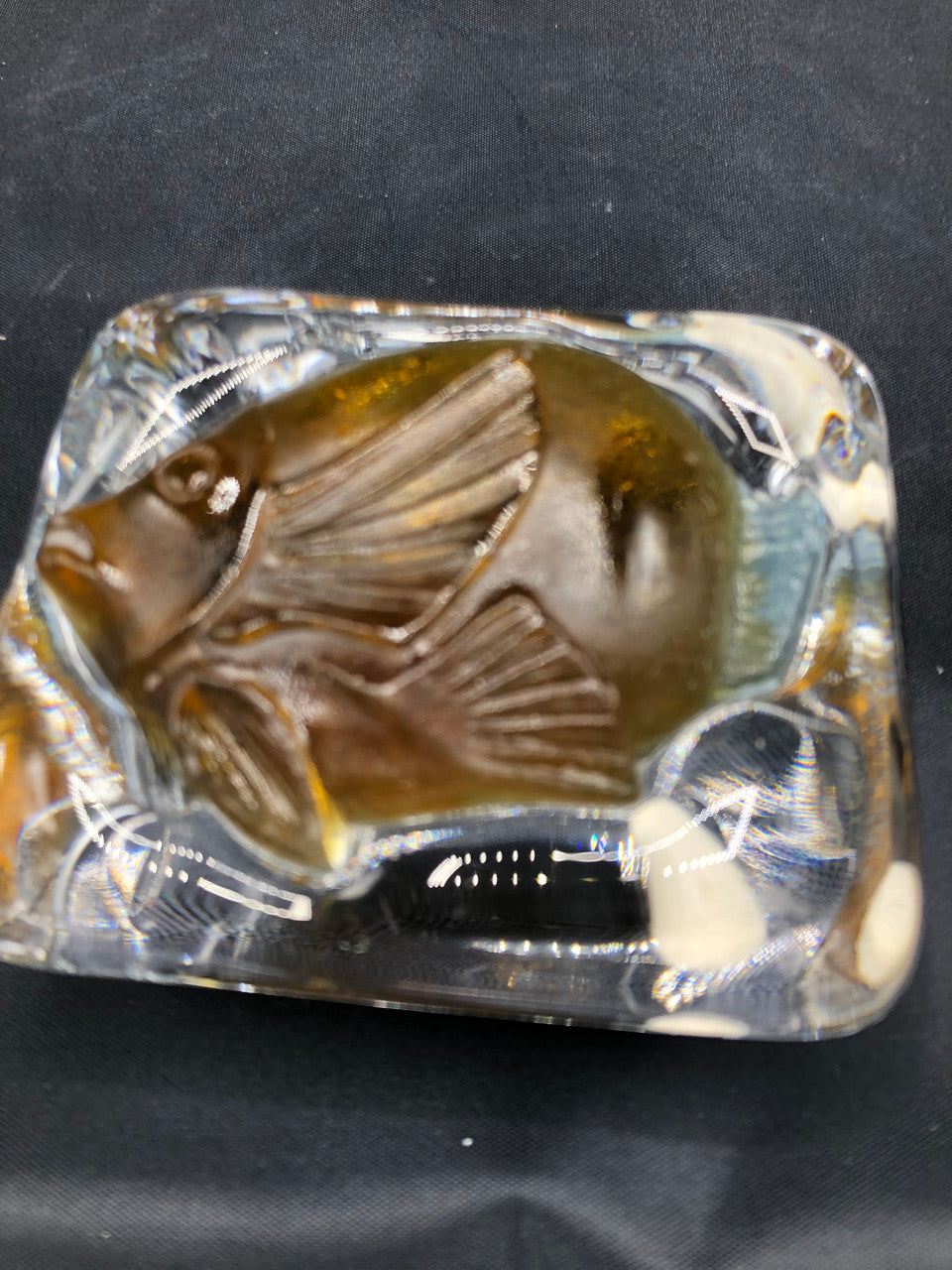 Signed Nancy Frosted glass Fish paperweight