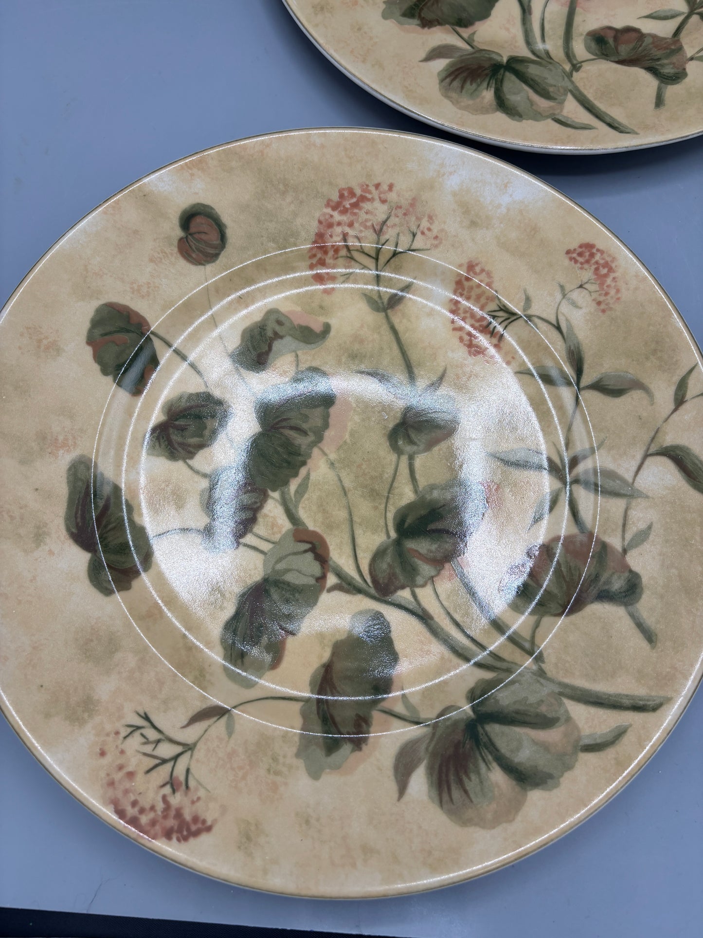 Stoneware dinner plate