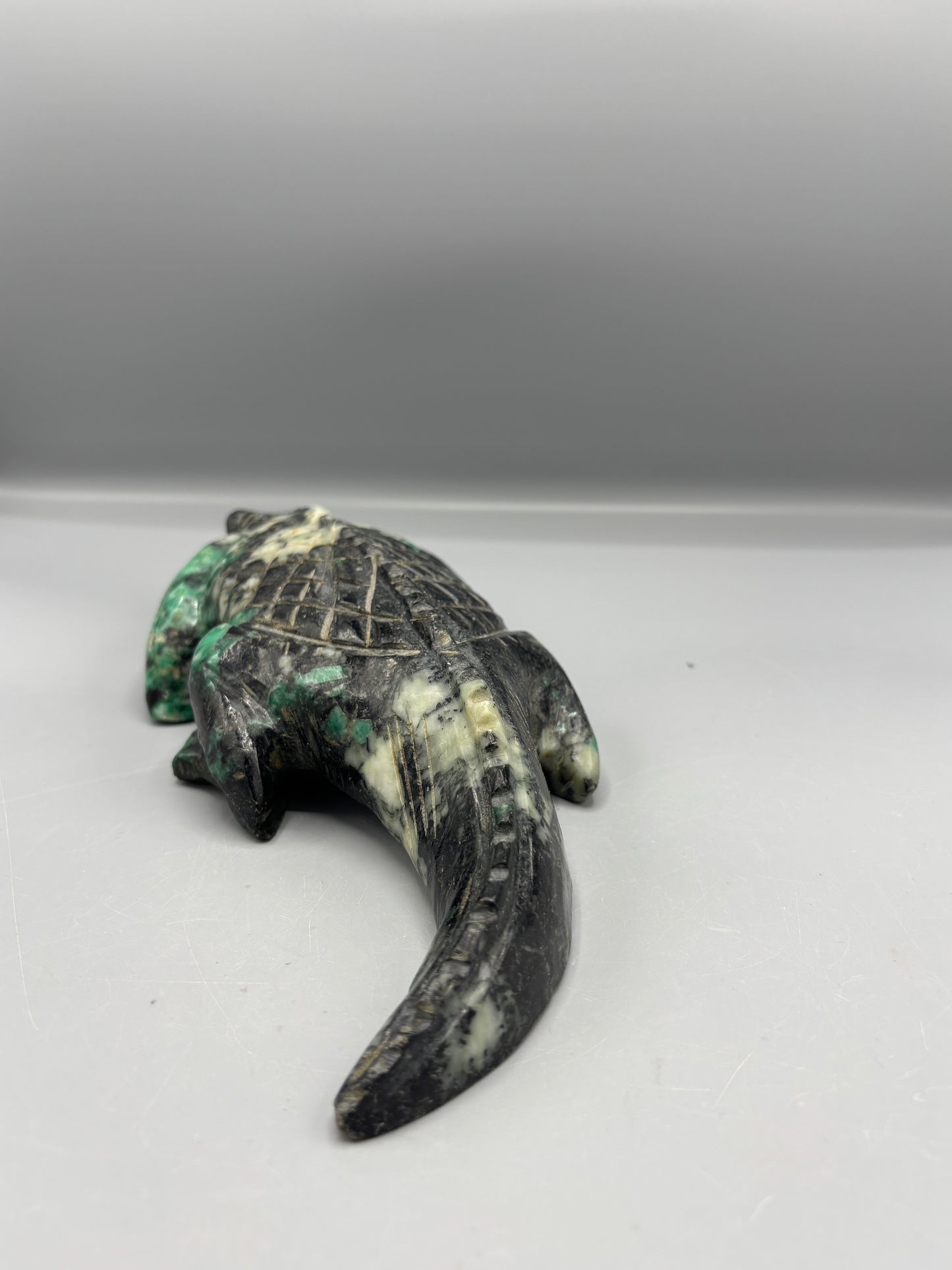 Natural turquoise Crocodile