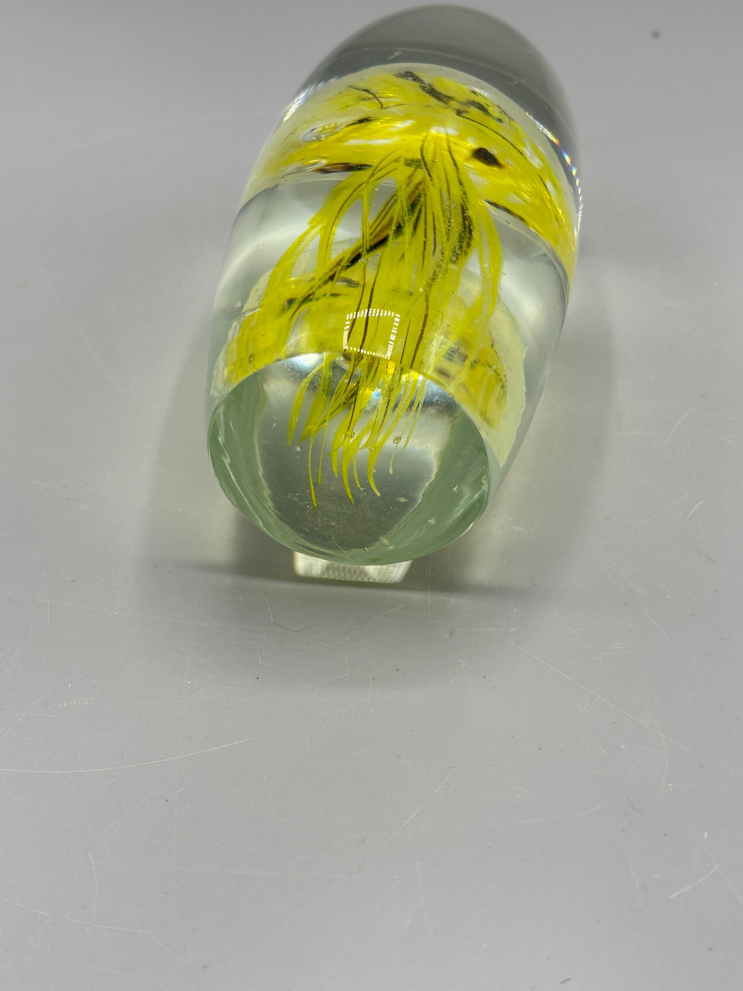 Glass Octopus paperweight