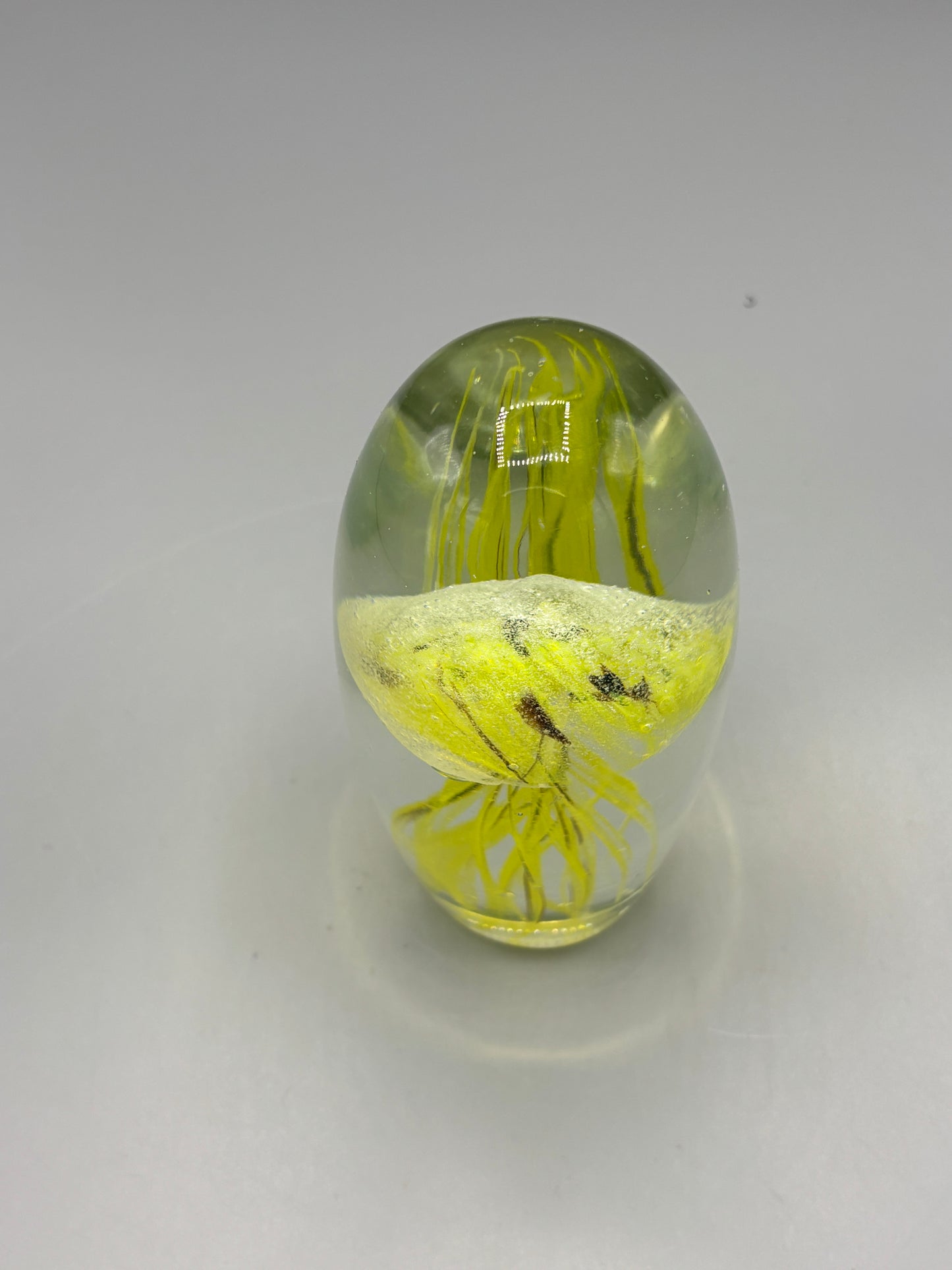 Glass Octopus paperweight