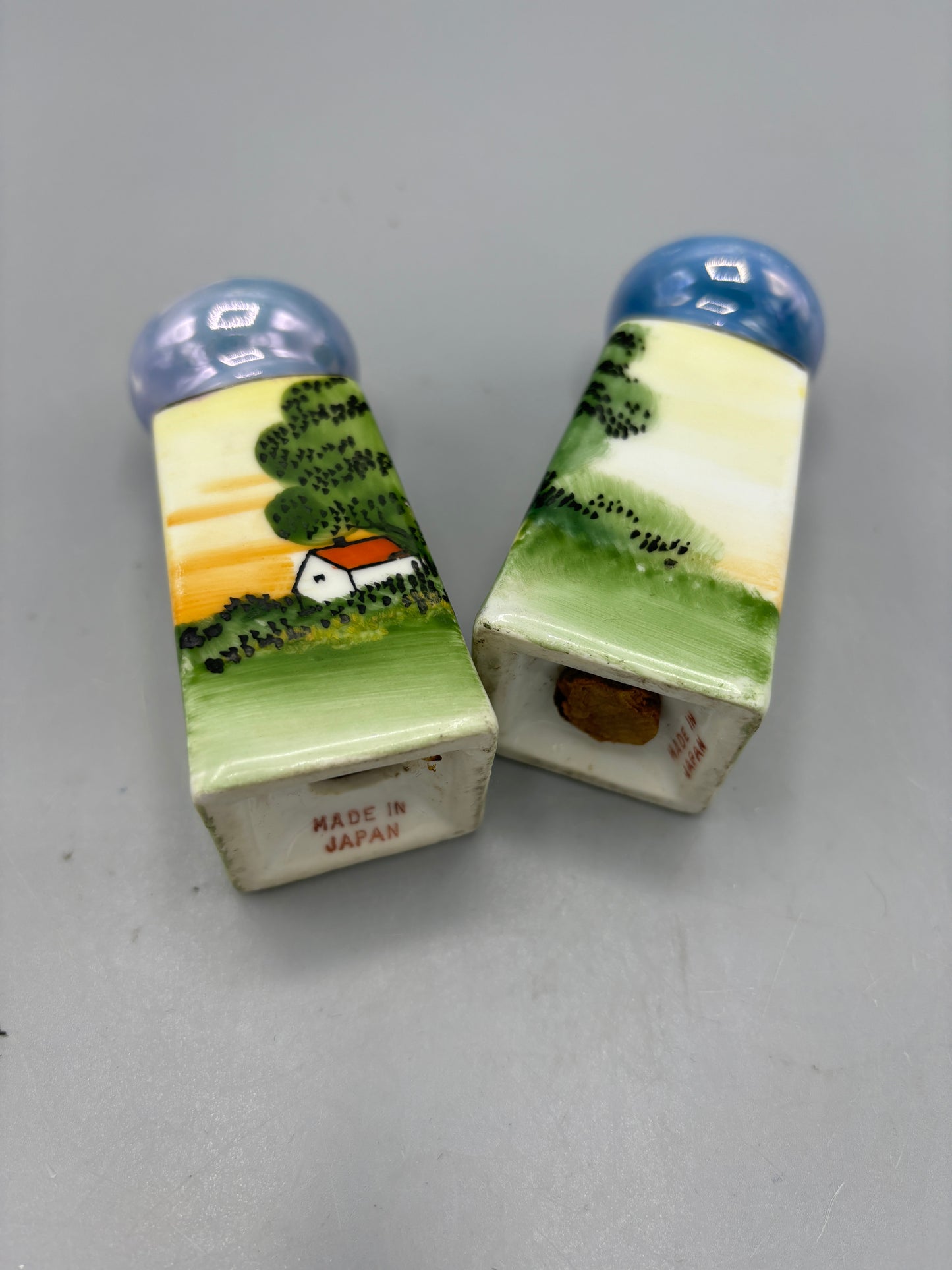 Hand painted Nippon salt & pepper