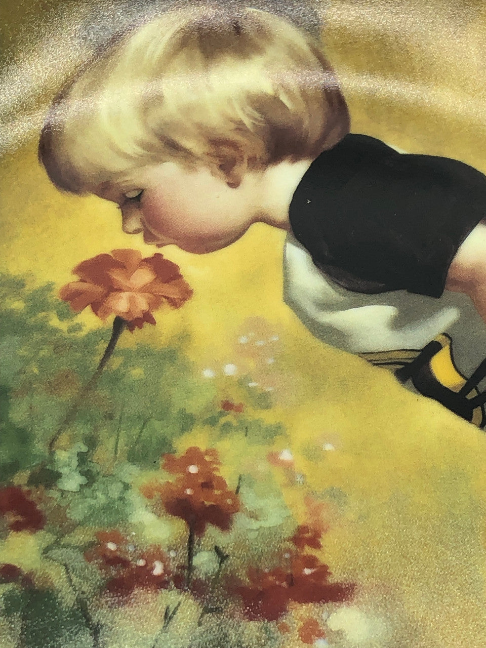 Grandmas Garden Boy plate