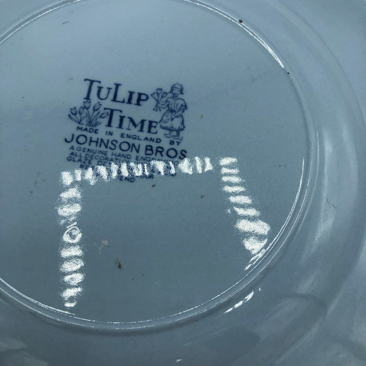 Tulip time Johnson Brothers Plate