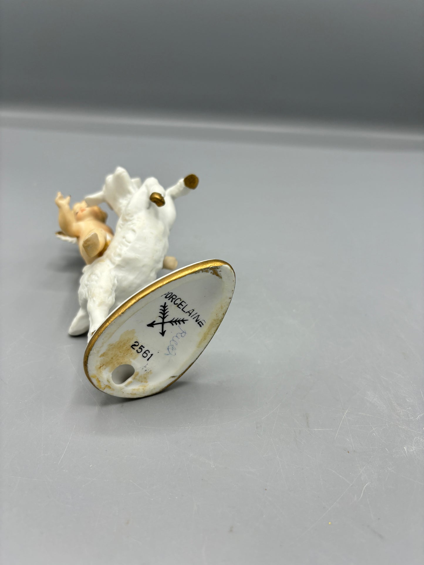 Baby child riding a goat Germany