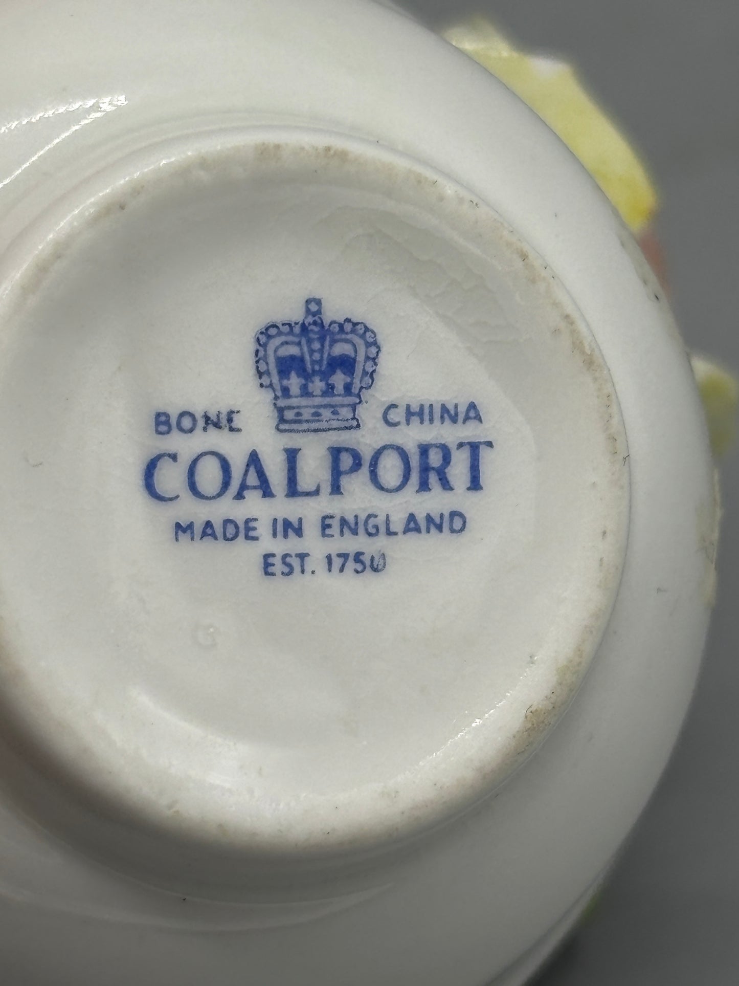 Vintage Coalport Bone China potted flower