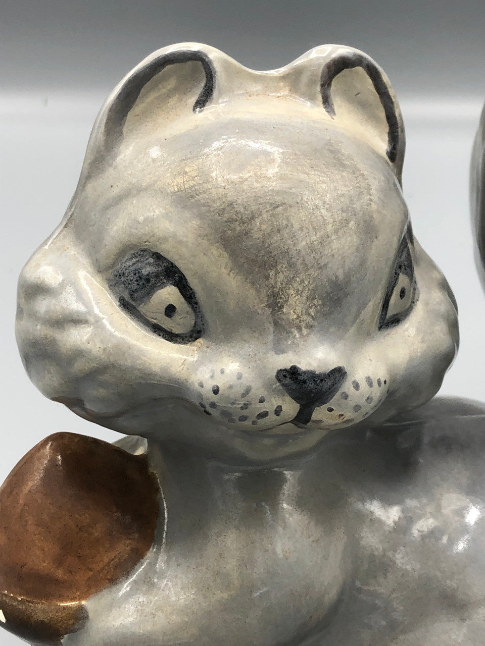 Grey Squirrel that is signed