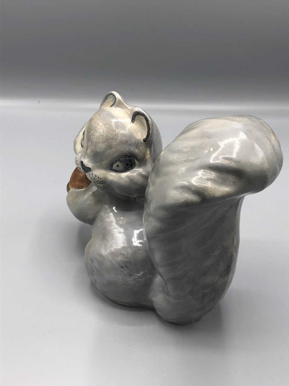 Grey Squirrel that is signed