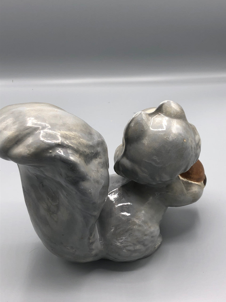 Grey Squirrel that is signed