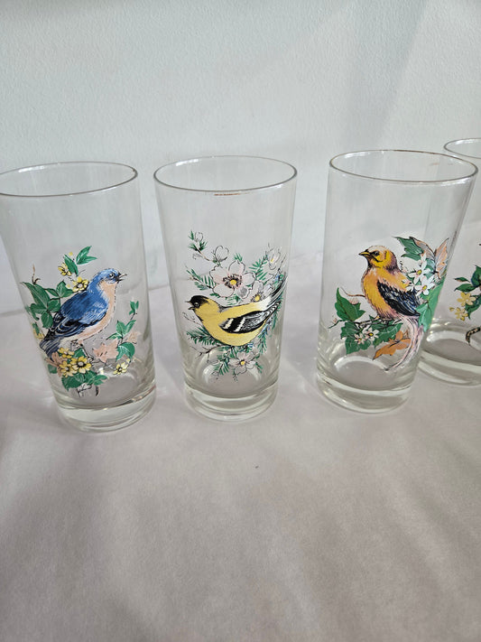 Set of 4 Bird Vintage Glasses