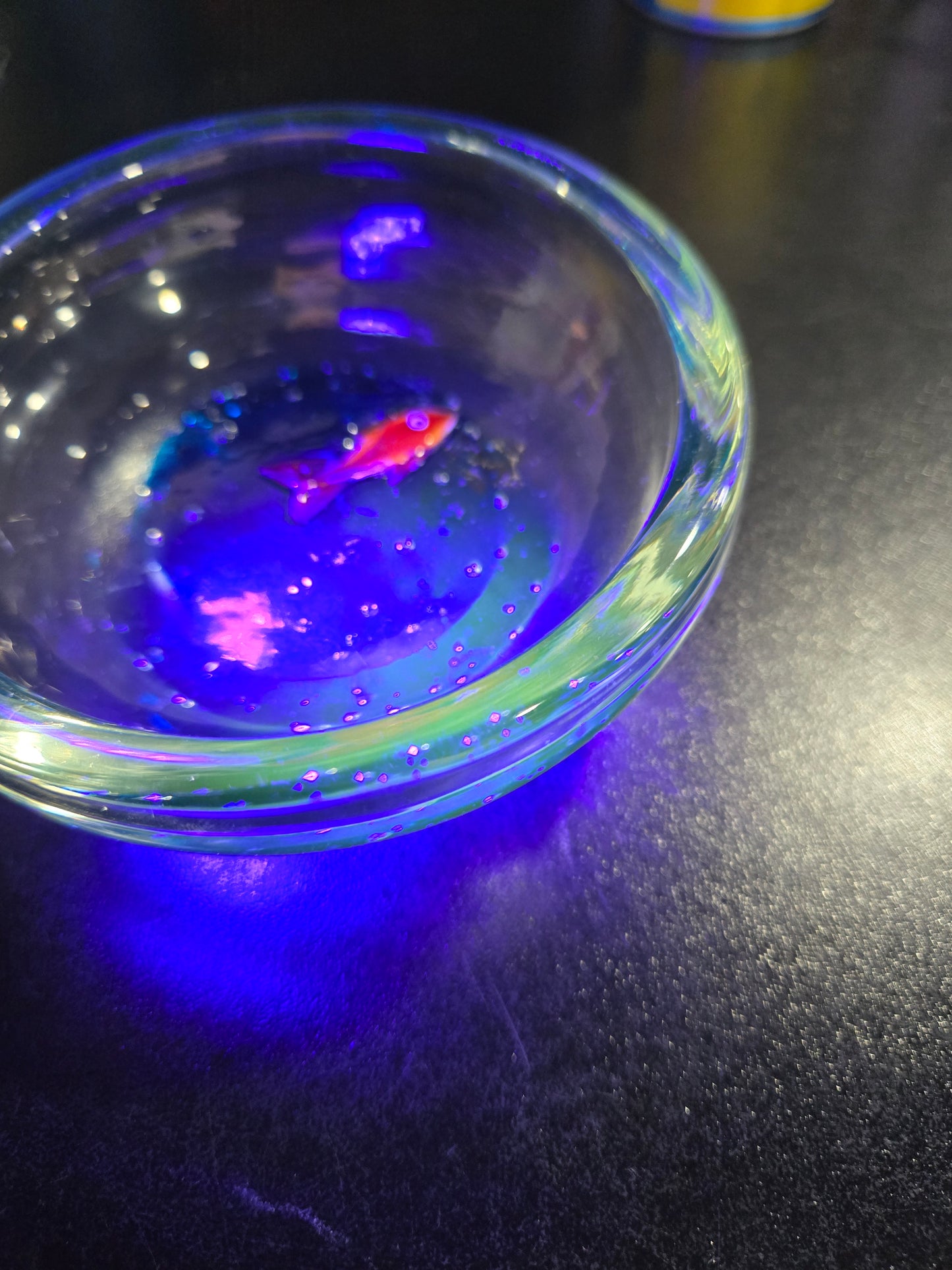 Clear glass bowl with orange fish & bubbles