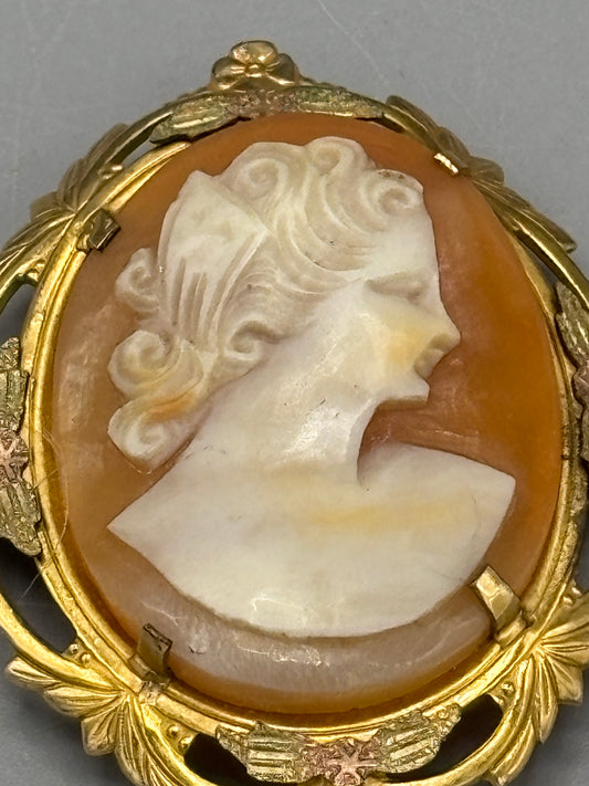 Vintage gold plate decor framed Cameo
