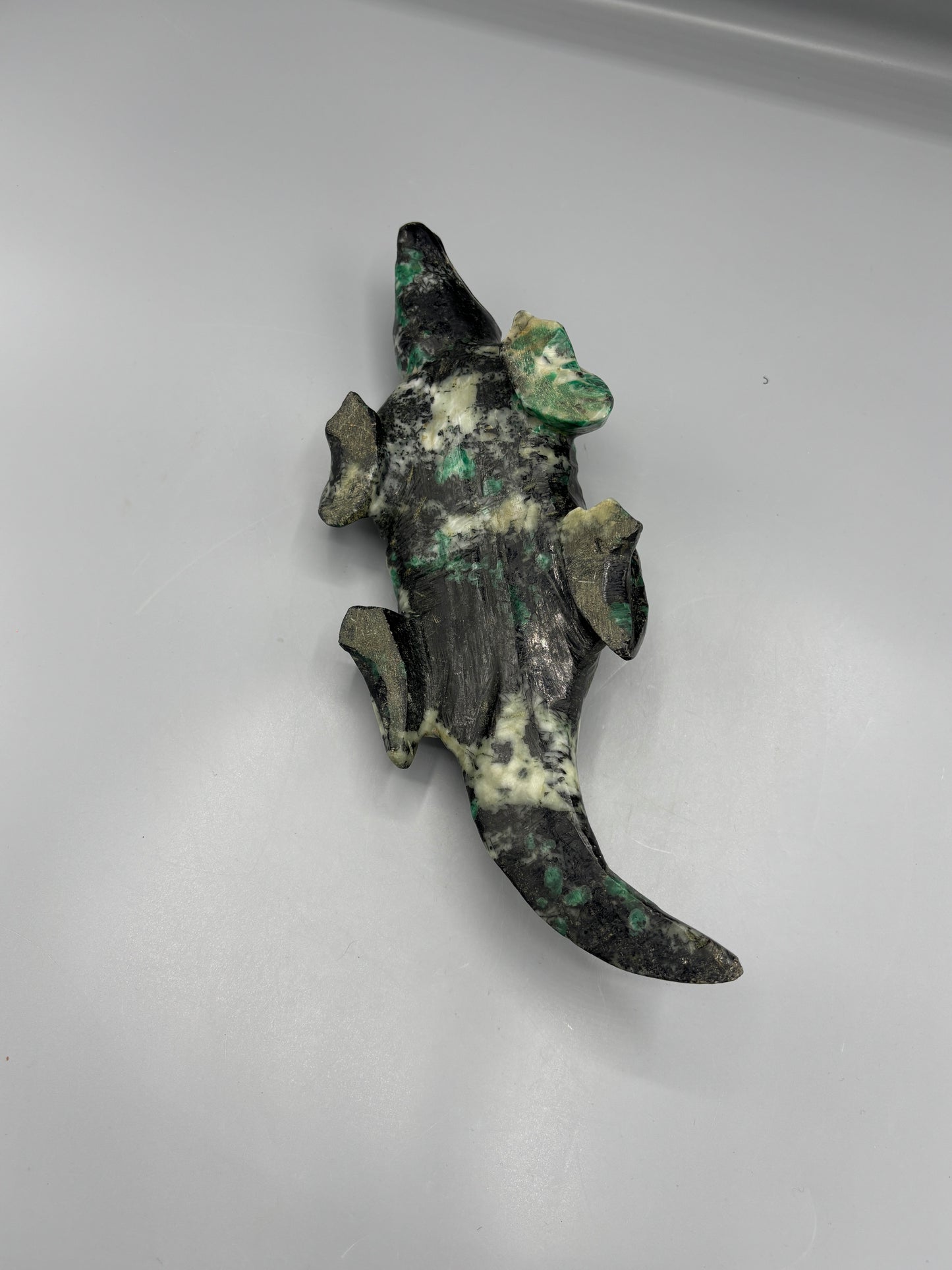 Natural turquoise Crocodile