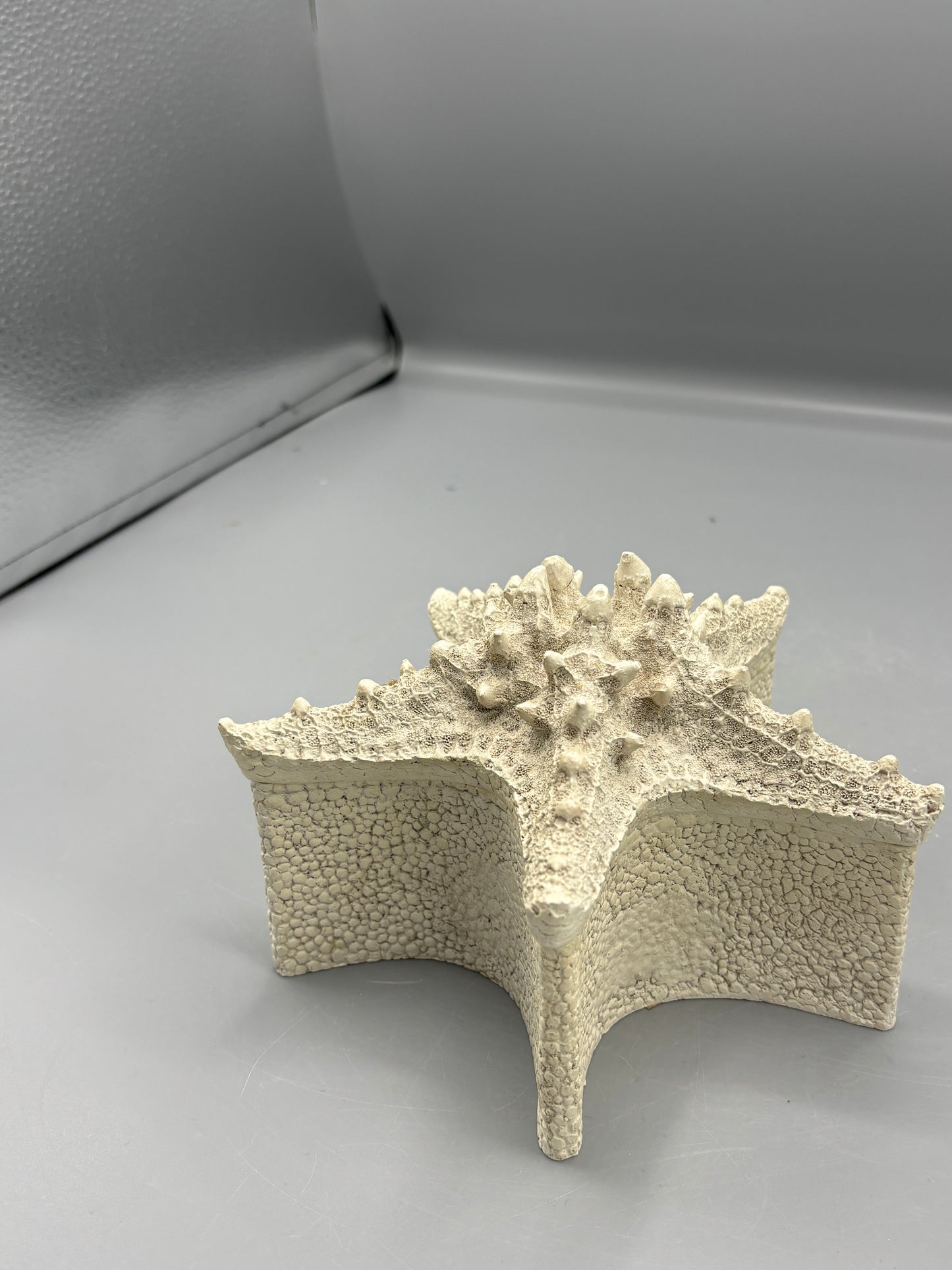 starfish with lid resin box