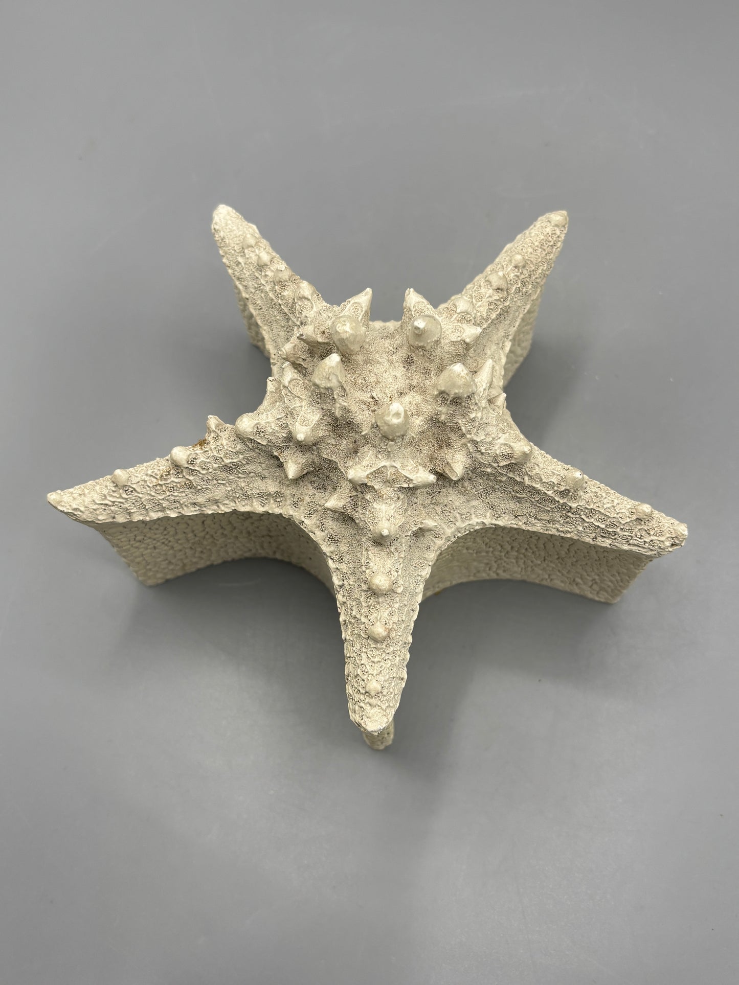 starfish with lid resin box