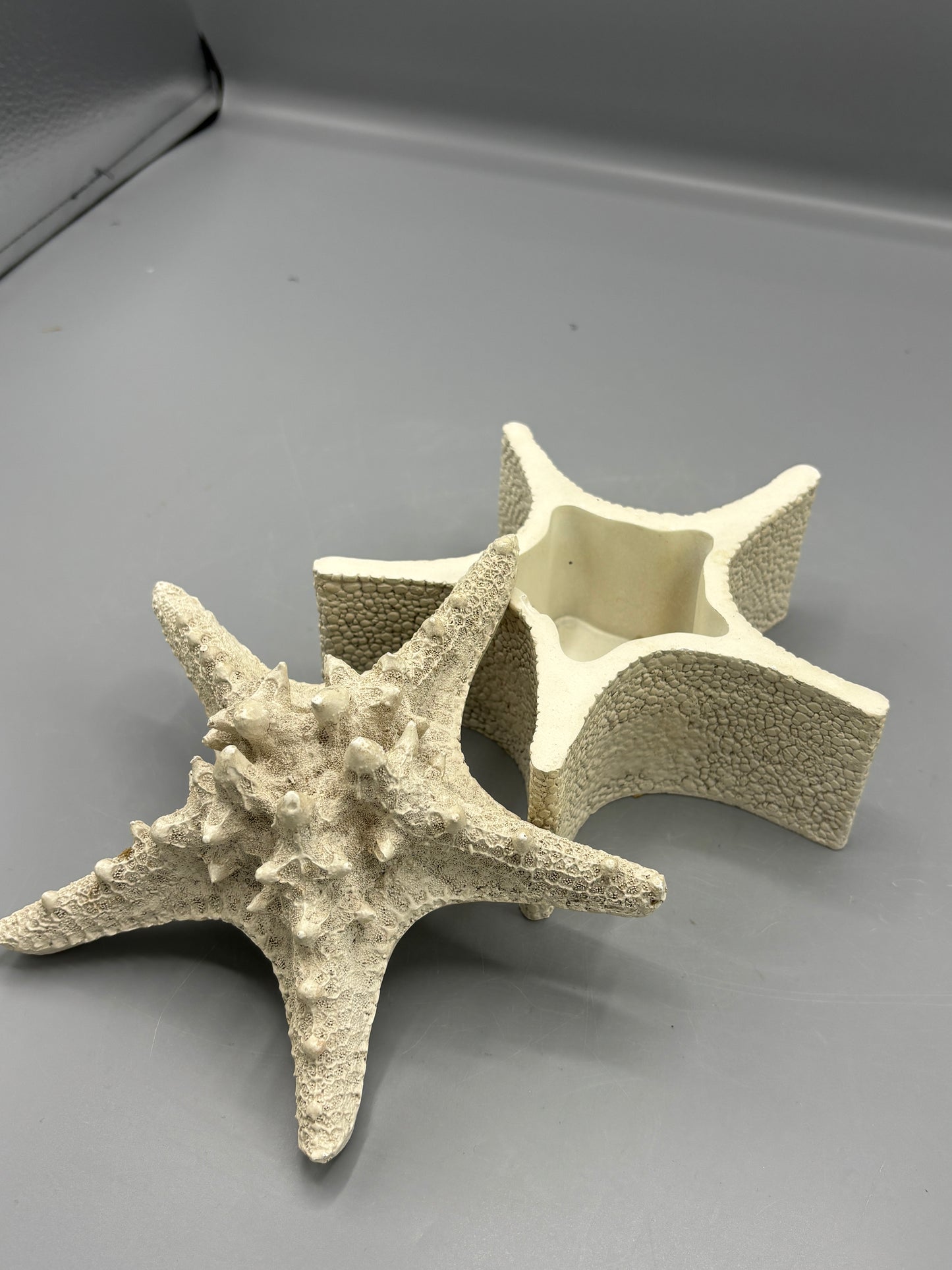 starfish with lid resin box