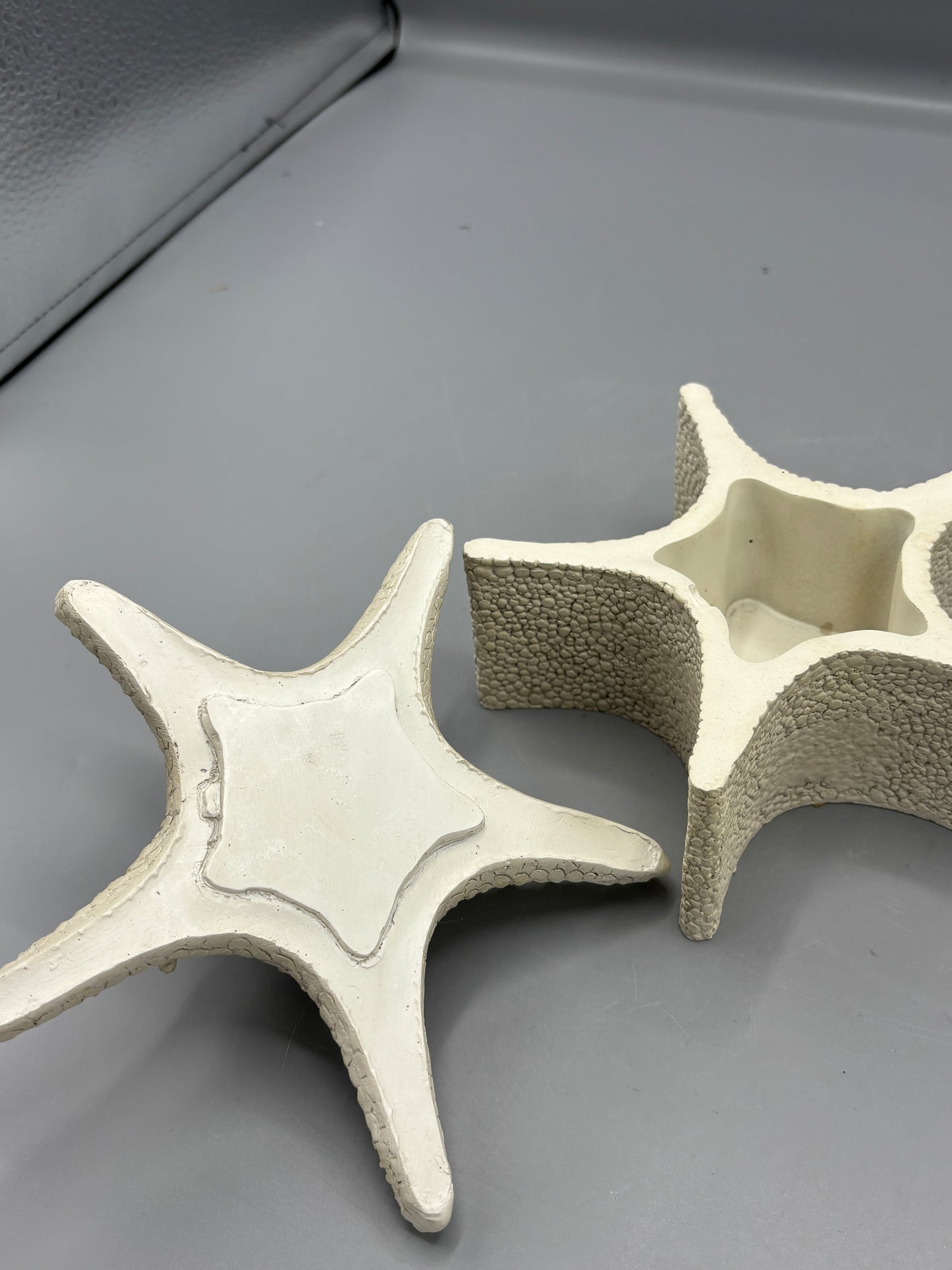 starfish with lid resin box