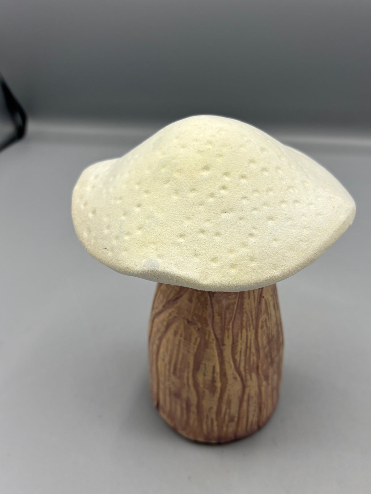 Harvest white flocked Mushroom