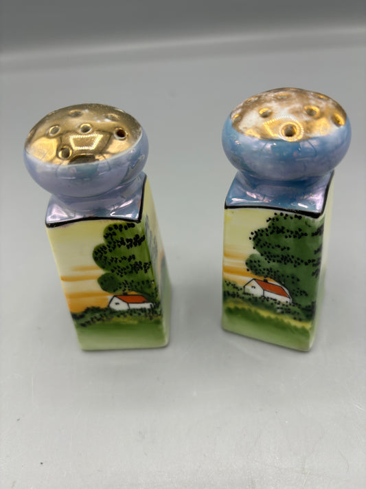 Hand painted Nippon salt & pepper