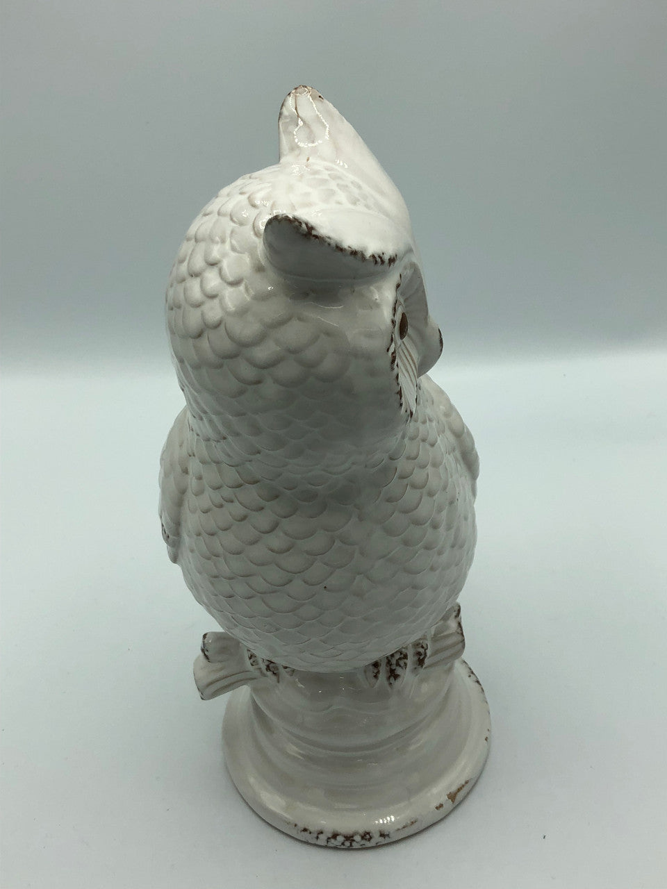 White Owl