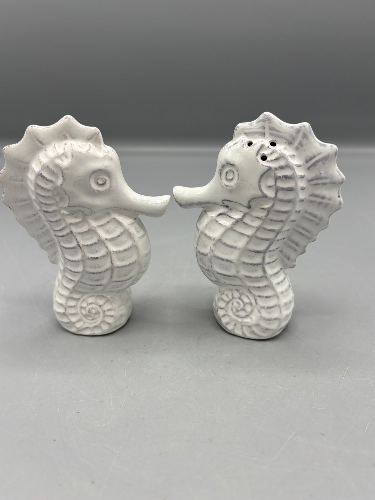 Ceramic Seahorse Salt & Pepper set