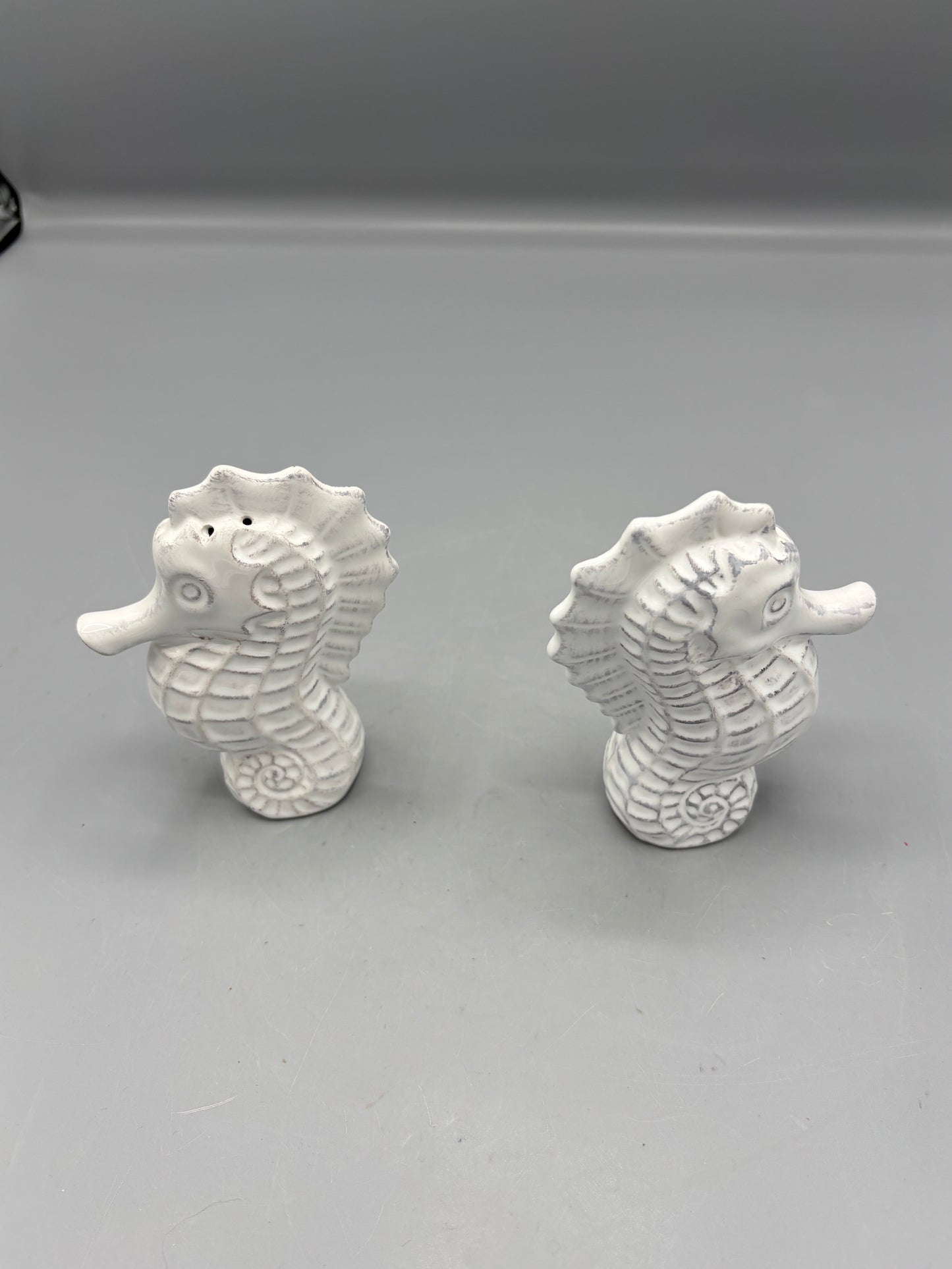 Ceramic Seahorse Salt & Pepper set