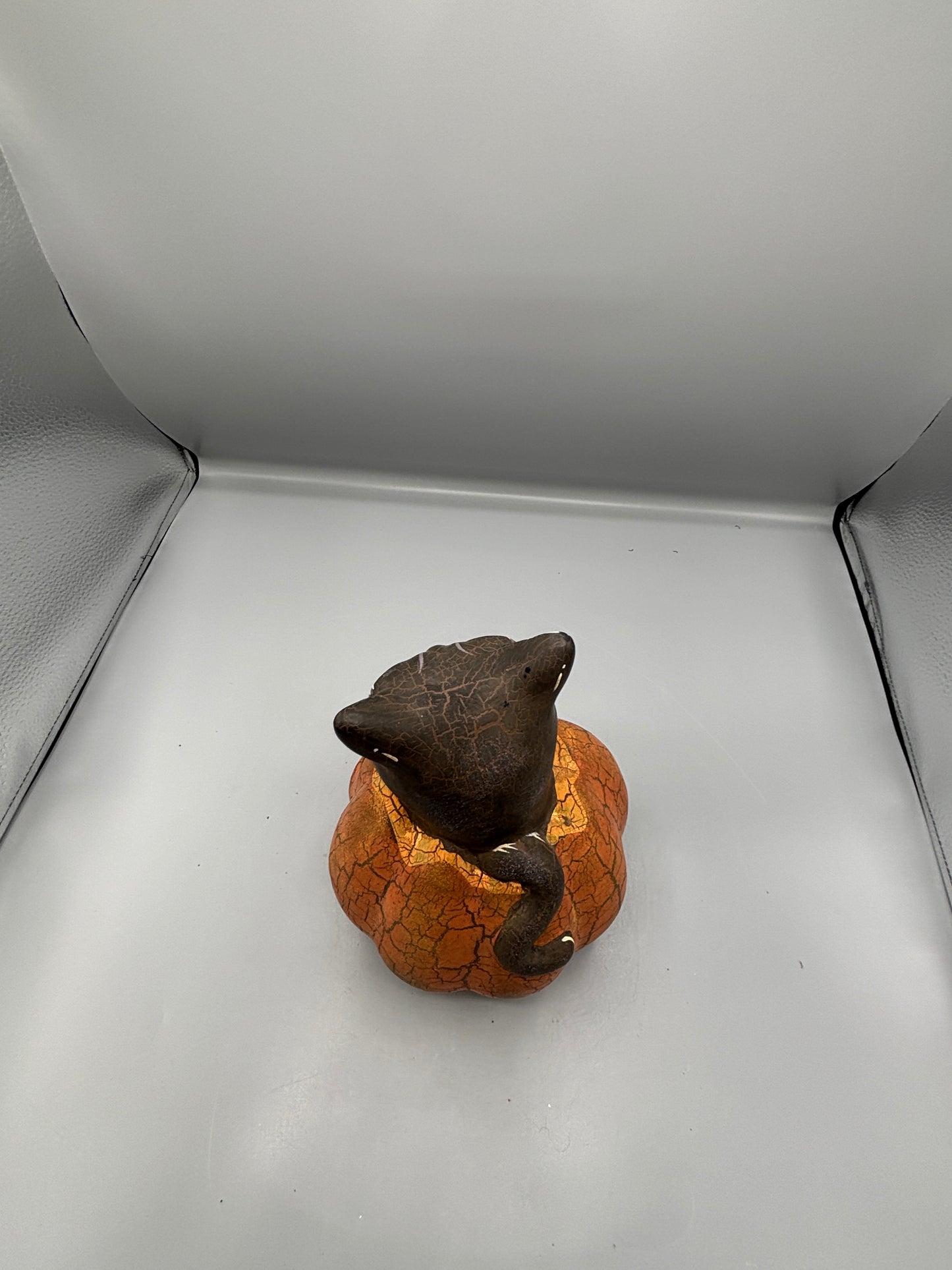 Vintage Halloween cat on pumpkin