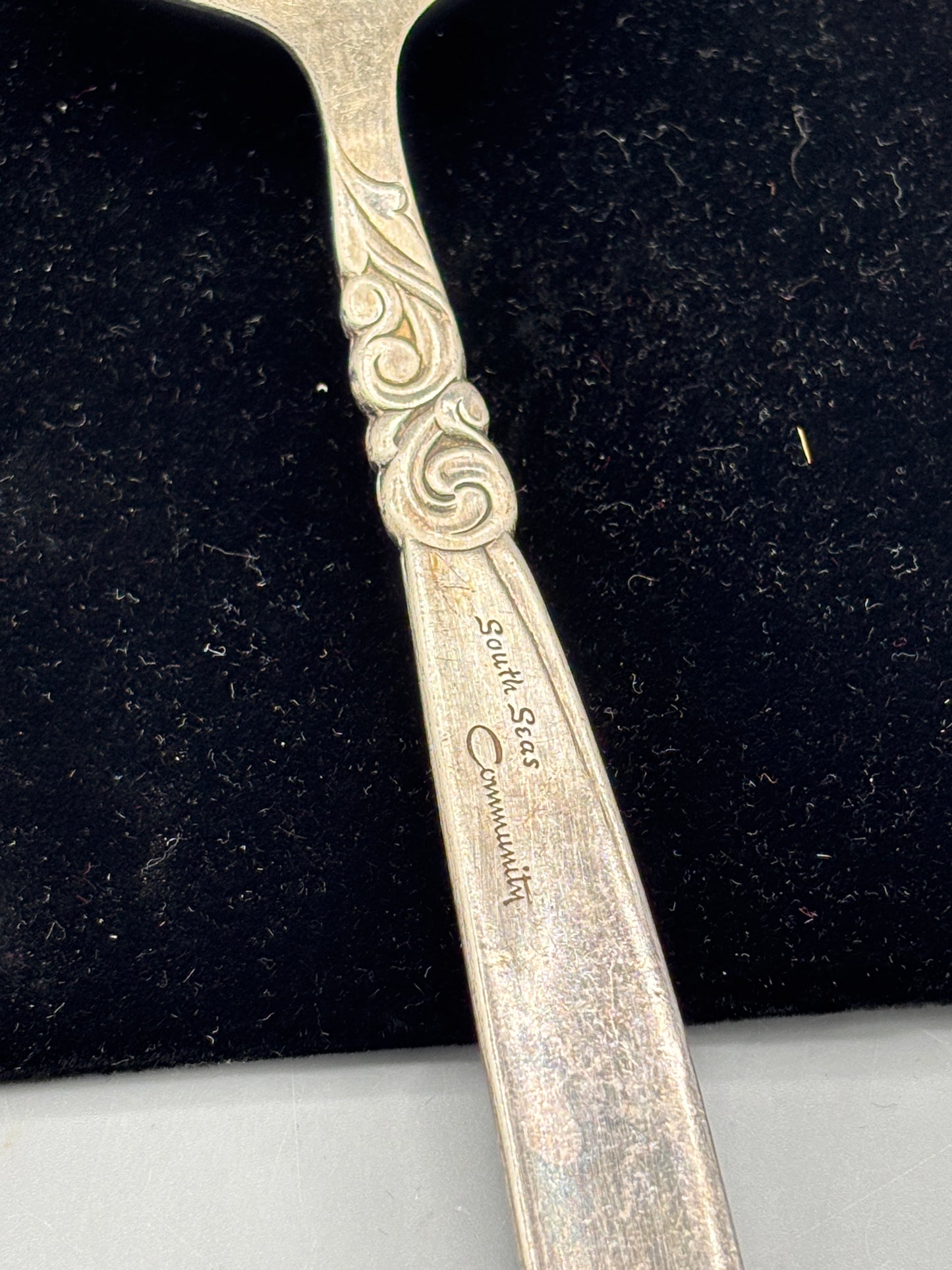 Set 2 South Seas Community Serving Spoons