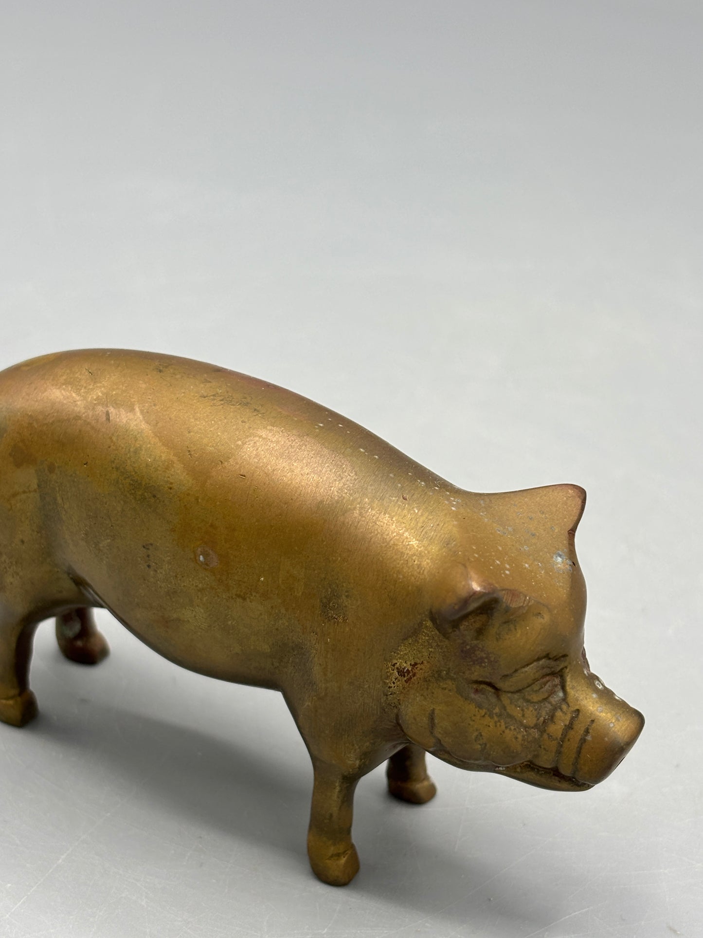 Large Brass pig