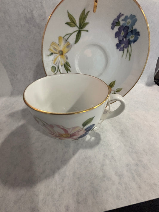Royal Worchester Fruit & Flower Tea cup & Saucer