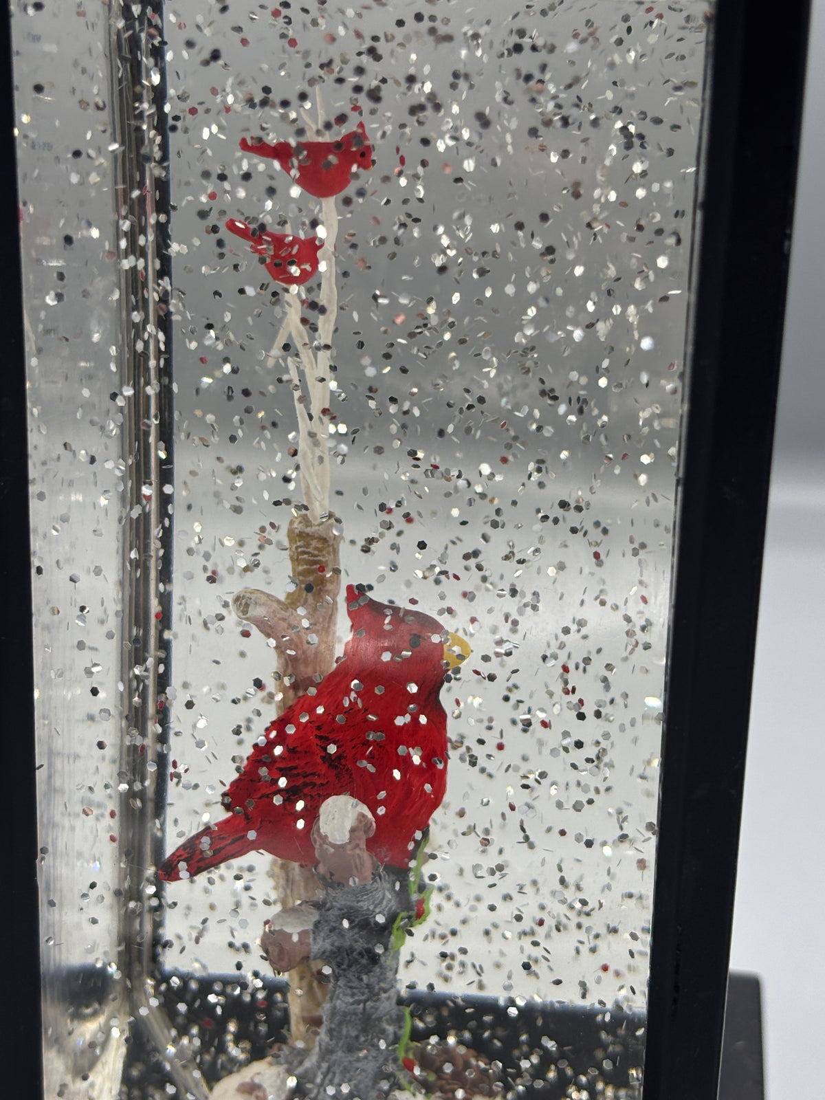 Lighted water lantern with cardinal